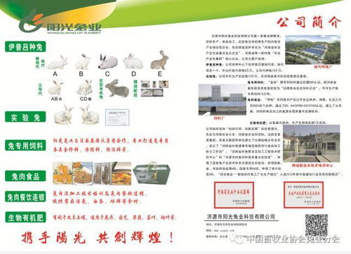 第七屆2017中國(guó)兔業(yè)發(fā)展大會(huì) 行業(yè)精英齊聚，技術(shù)與服務(wù)共繪產(chǎn)業(yè)藍(lán)圖